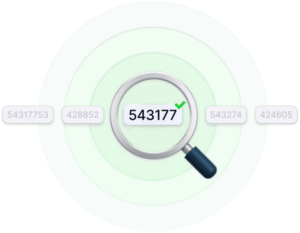 Non VBV BIN Checker