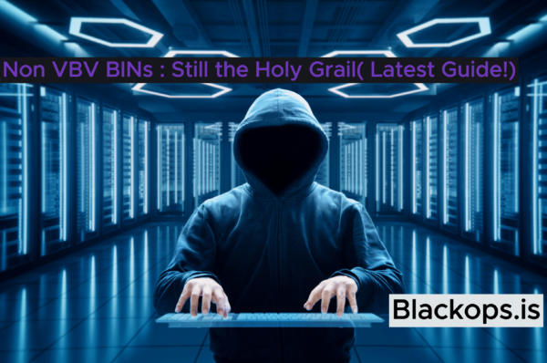 Non VBV BINs : Still the Holy Grail( Latest Guide!)