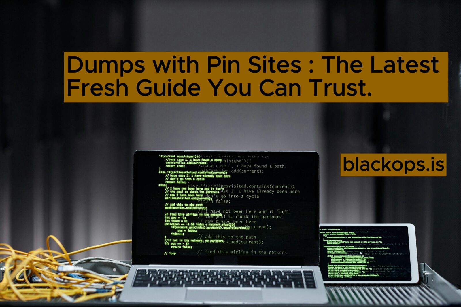 This is the Dumps with Pin Sites 2026 : The Latest Fresh Guide You Can Trust.