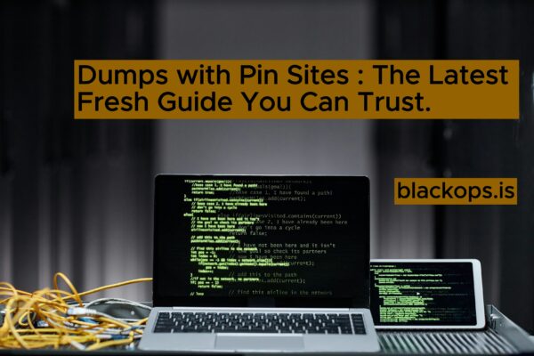 This is the Dumps with Pin Sites 2026 : The Latest Fresh Guide You Can Trust.