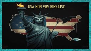 List of Non VBV BINs 2026