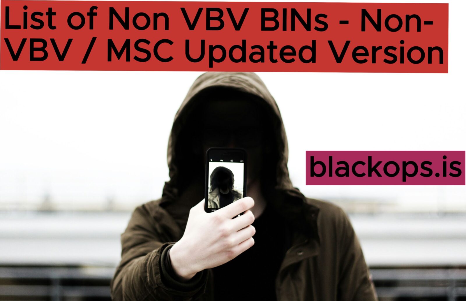 This is the List of Non VBV BINs 2026 - Non-VBV / MSC Updated Version .